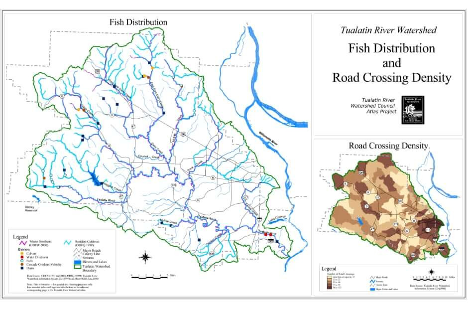 Fish Populations & Road Density