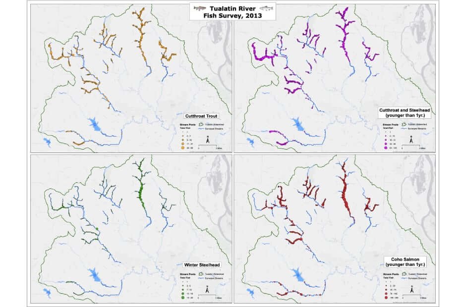 Rapid Bio-Assessment Snorkel Survey Results