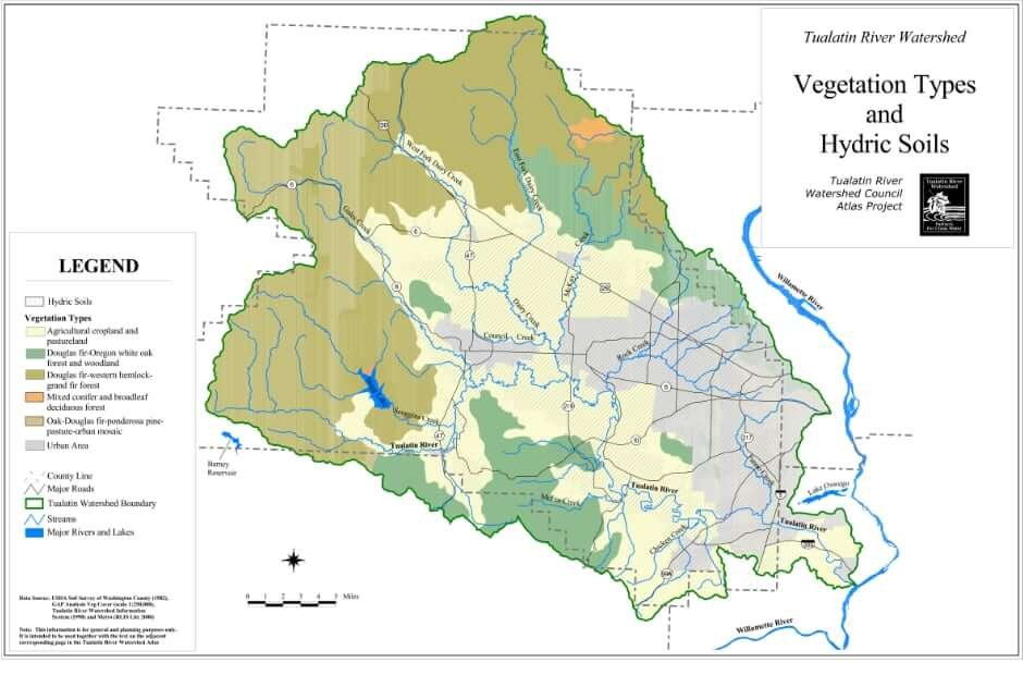 Vegetation Type & Hydric Soils